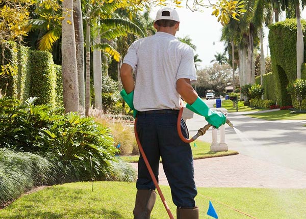 About North Easton MA Pest Control Pros